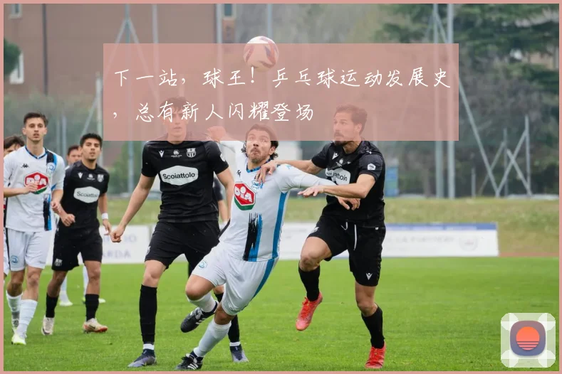 下一站，球王！乒乓球运动发展史，总有新人闪耀登场